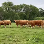 Au Bocage Parfume De La Ciflorette***