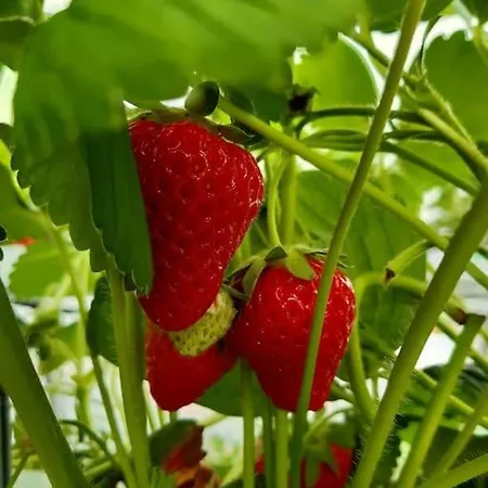 Au Bocage Parfume De La Ciflorette*** Σπίτι διακοπών