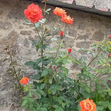 Σπίτι διακοπών Au Bocage Parfume De La Ciflorette*** Wirwignes