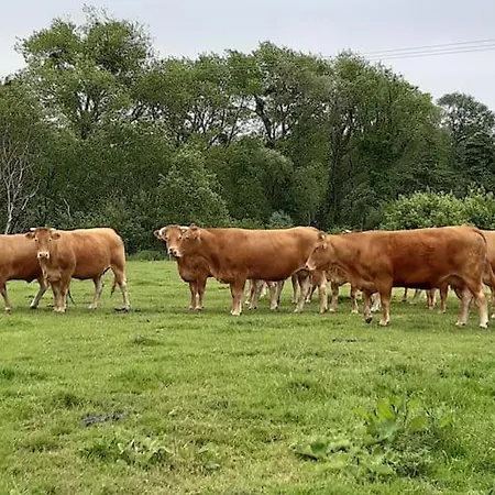 Au Bocage Parfume De La Ciflorette***