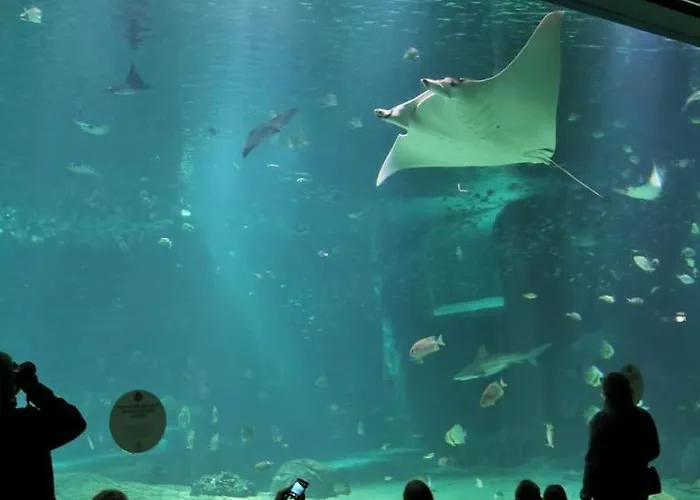 Au Bocage Parfume De La Ciflorette*** Ferienhaus Wirwignes