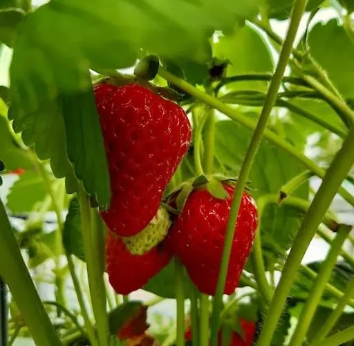 Au Bocage Parfume De La Ciflorette*** Ferienhaus