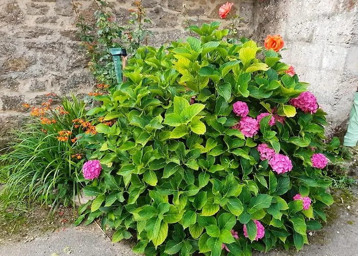 Au Bocage Parfume De La Ciflorette*** Wirwignes