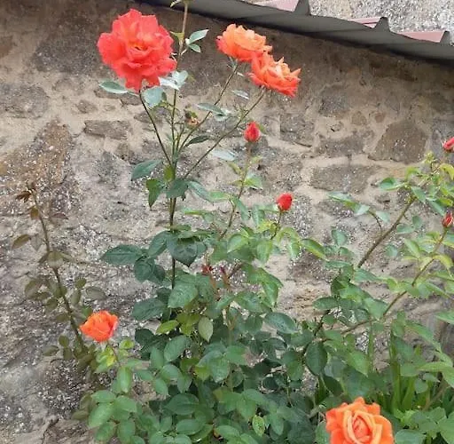 Ferienhaus Au Bocage Parfume De La Ciflorette*** Wirwignes